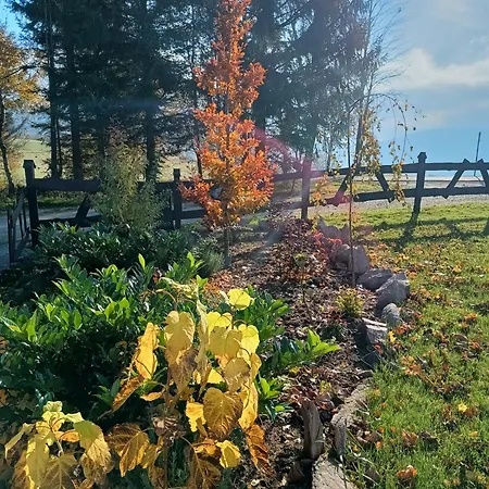 Na Rozdrozu דירה ואלים